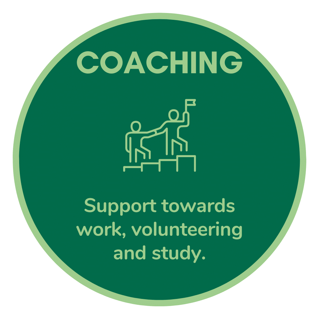 Coaching Circle Icon